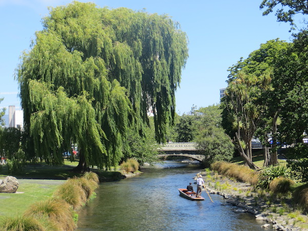 A personal gondola ride by a weeping Willow in the heart of Christchurch.