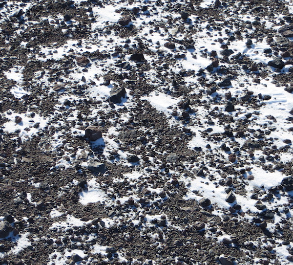 The ground at McMurdo, or cookies and cream? We may never know....