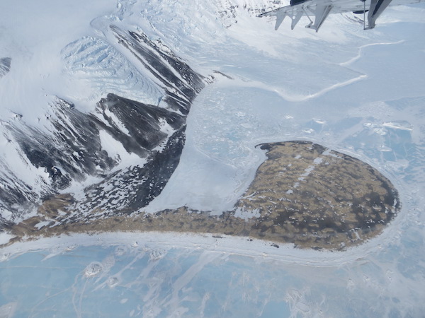 Aerial view of Cape Hallett. This time the pilots took a slightly different route than the first. Our AWS is on the flat piece of black land on the left and near the ice edge. Most of the penguins are on the light brown land.